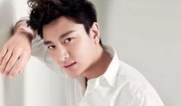 贾乃亮金晨最新爆料,揭秘昔日恋情背后的真相