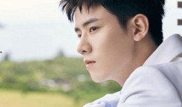 任豪娱乐大爆料,揭秘明星幕后故事与幕后黑幕